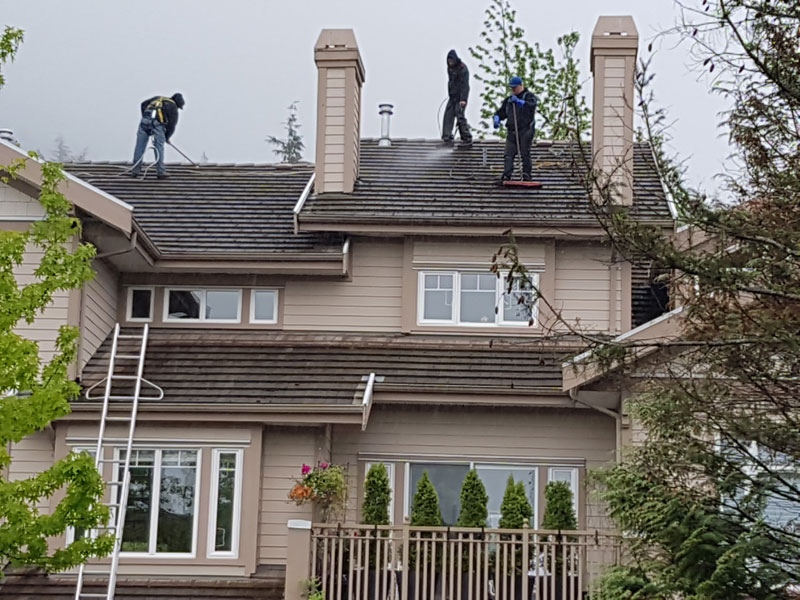How often should you Perform Roof Maintenance?