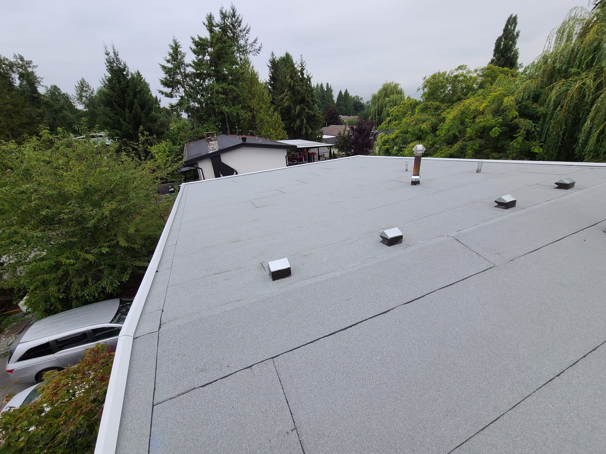 2 ply SBS torch on roof system