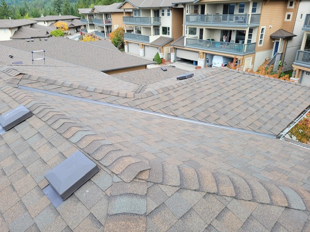 multi-family shingle roof replacement - Squamish