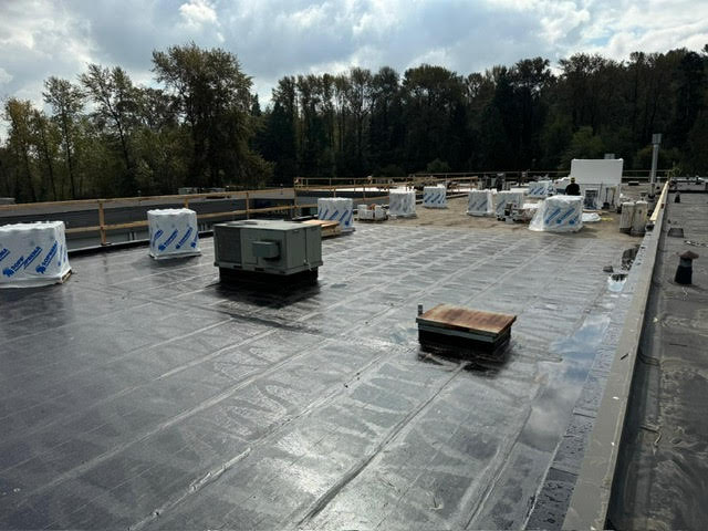 When do you need to replace flat roof
