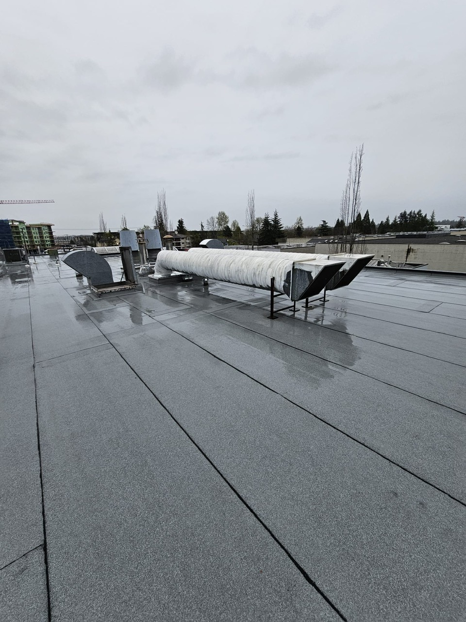multi building commercial flat roof replacement