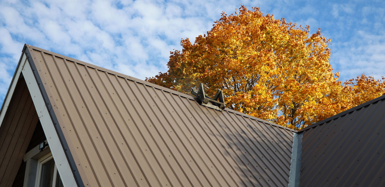 Metal Roof Options for Homes in Vancouver