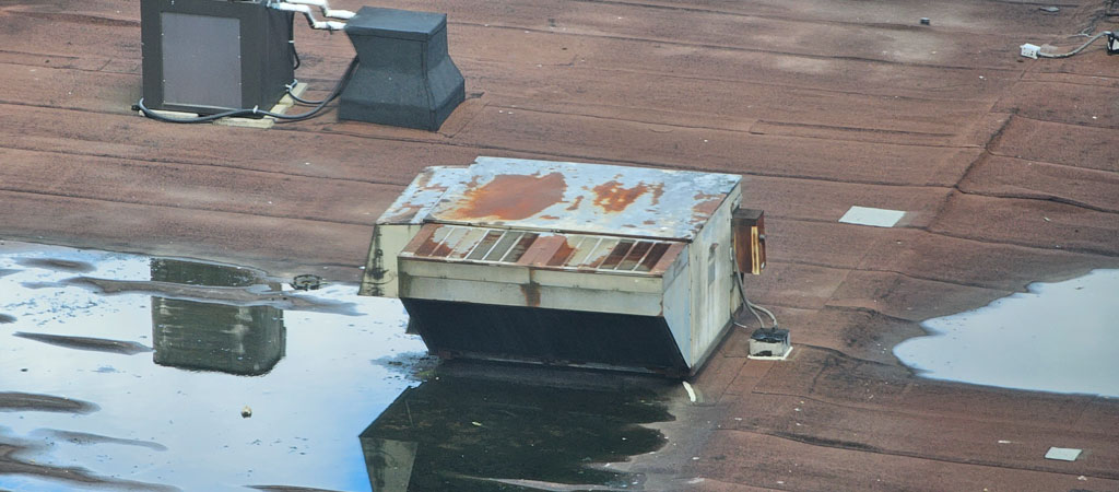 How to Budget for Commercial Roof Maintenance in BC